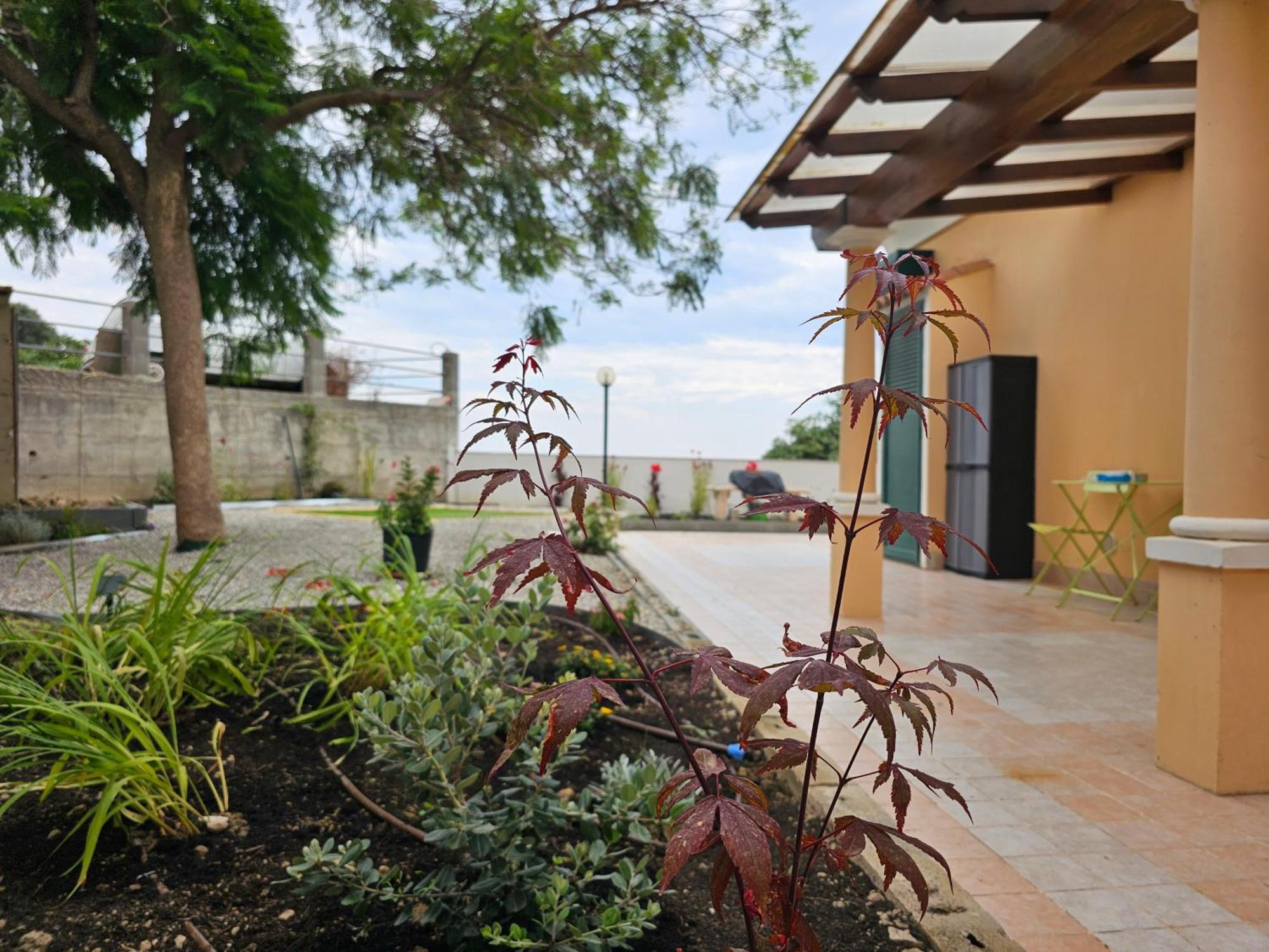 Vila Avocado Ventimiglia Exteriér fotografie
